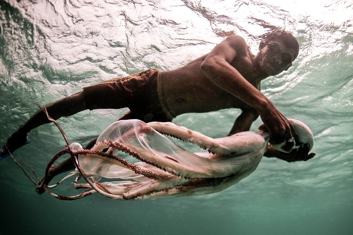 Nghe san bach tuoc doc dao cua dan toc Bajau hinh anh