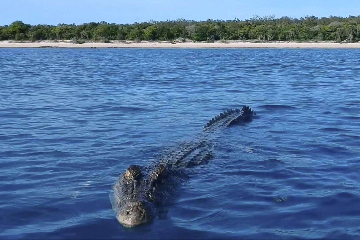 Ca sau khong lo tan cong may bay khong nguoi lai hinh anh