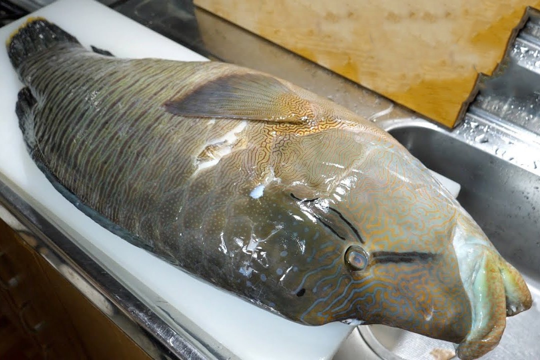 Dau bep so che ca Napoleon nang 11 kg hinh anh