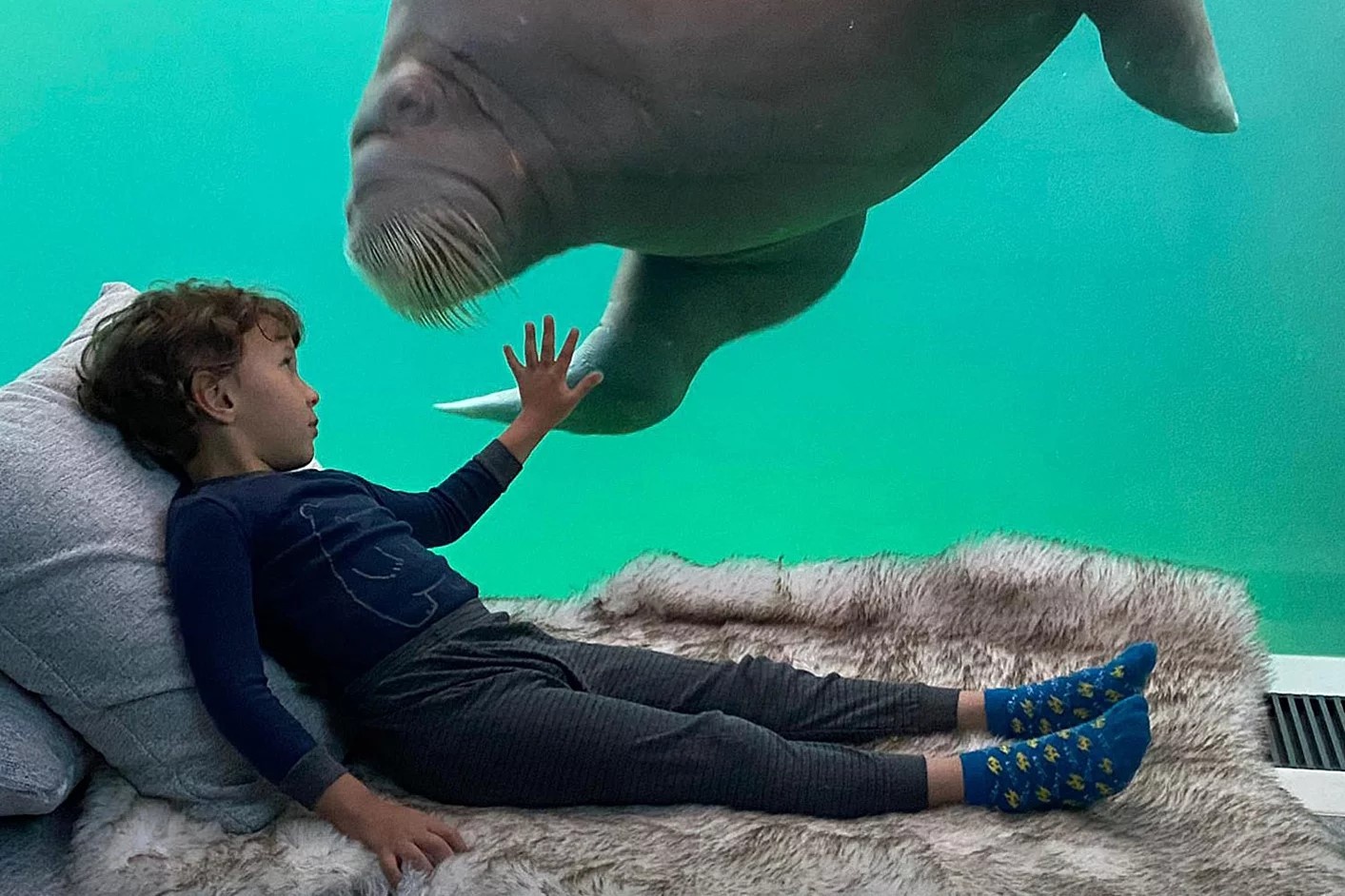 Phong khach san canh nhung con hai ma khong lo o Bi hinh anh