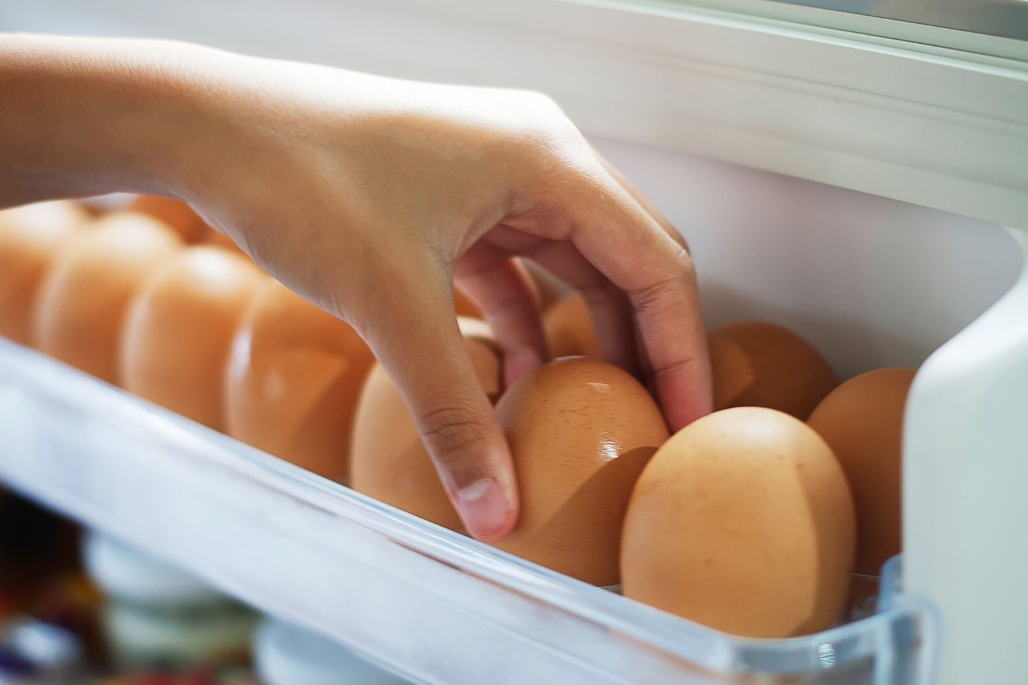 Tai sao khong nen bao quan trung o canh cua tu lanh? hinh anh