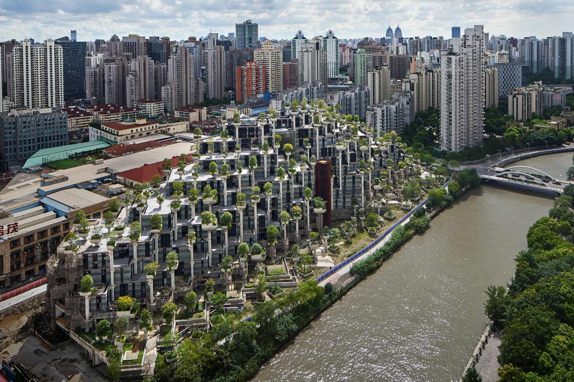 Cong trinh an tuong hinh ruong bac thang o Trung Quoc hinh anh