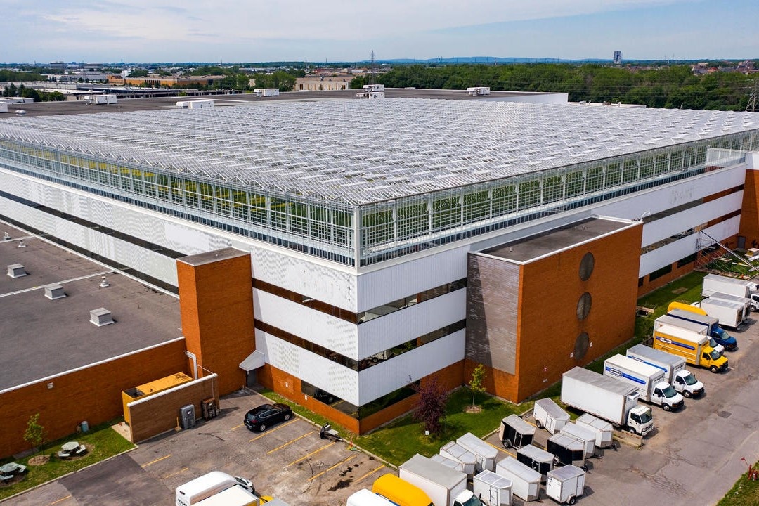 Khu vuon trong ca tim, ca chua tren mai nha lon nhat the gioi hinh anh