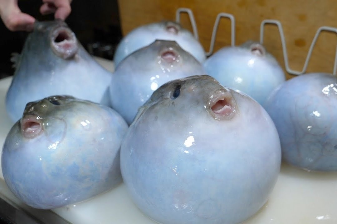 Dau bep che bien ca noc doc hinh anh