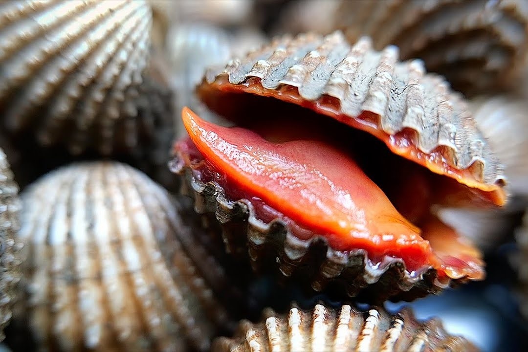 Dau bep lam goi so huyet vi Thai hinh anh