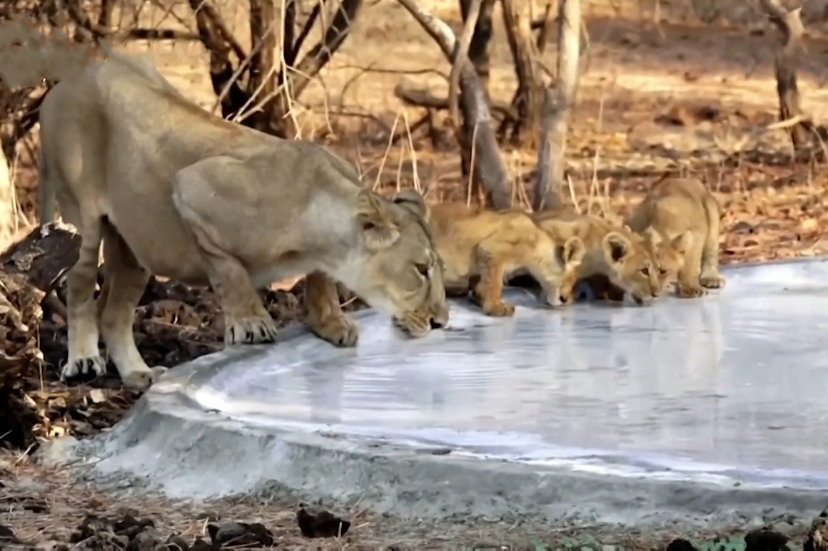 Su tu can nuoc uong trong dot song nhiet ky luc o An Do hinh anh