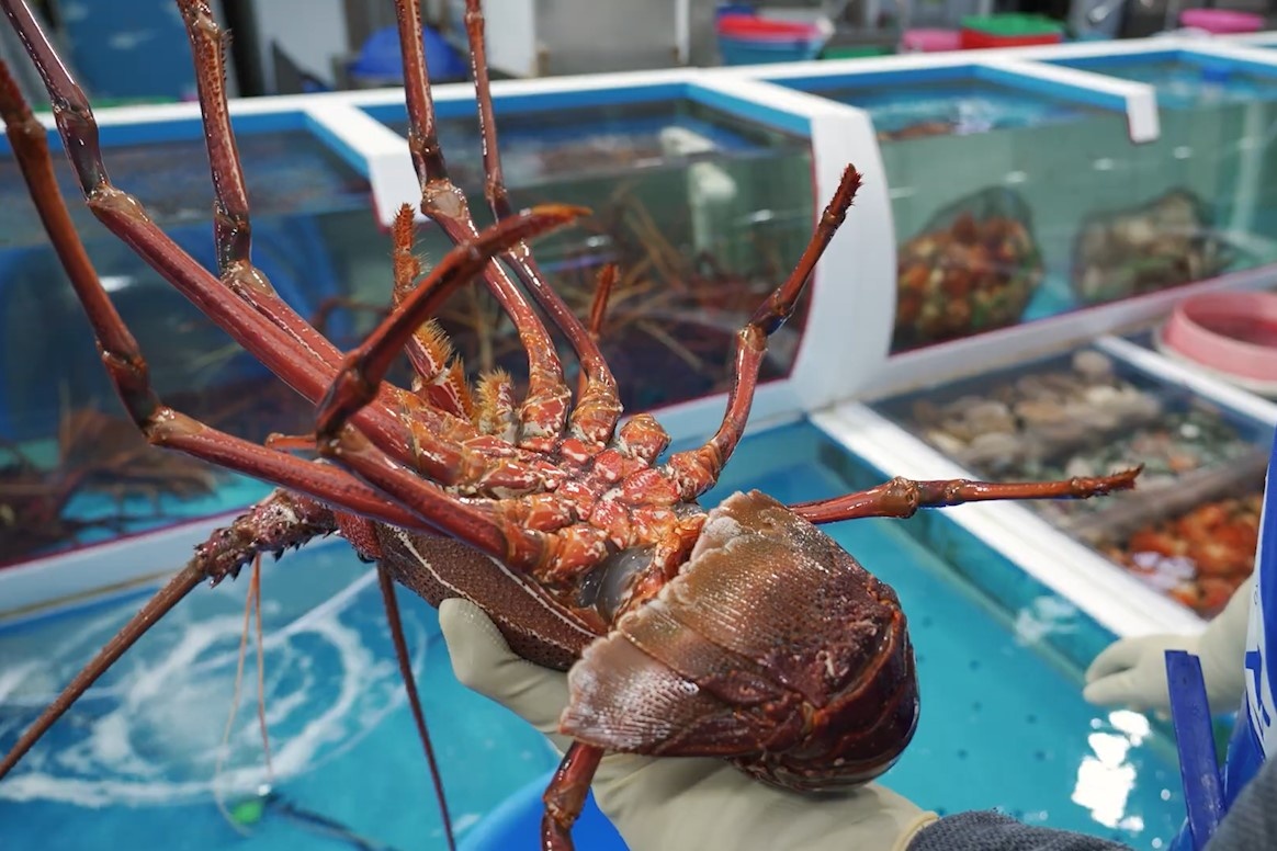 Dau bep chuyen nghiep che bien tom rong co lon hinh anh