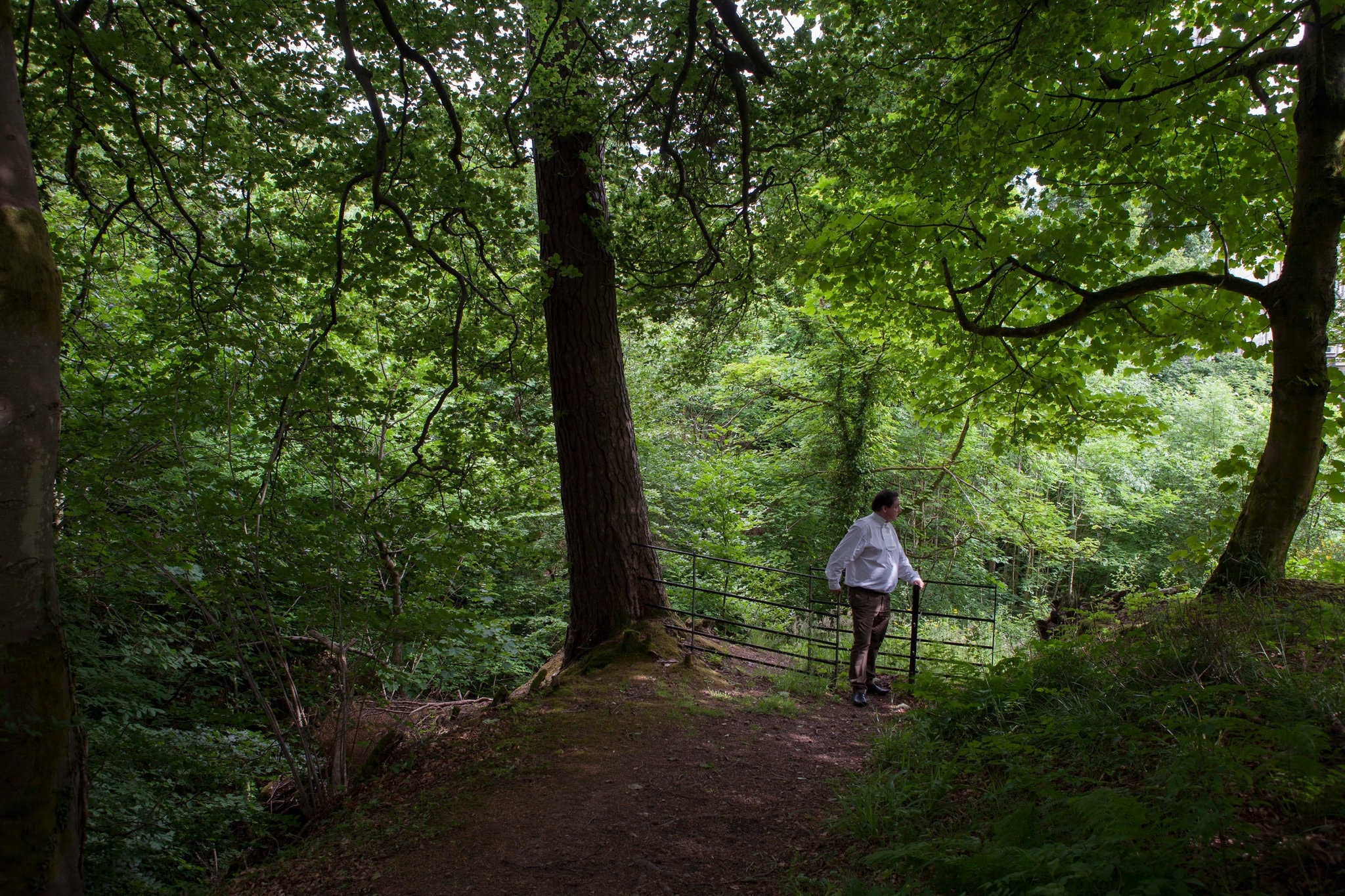 cay cau hut cho den tu sat anh 4