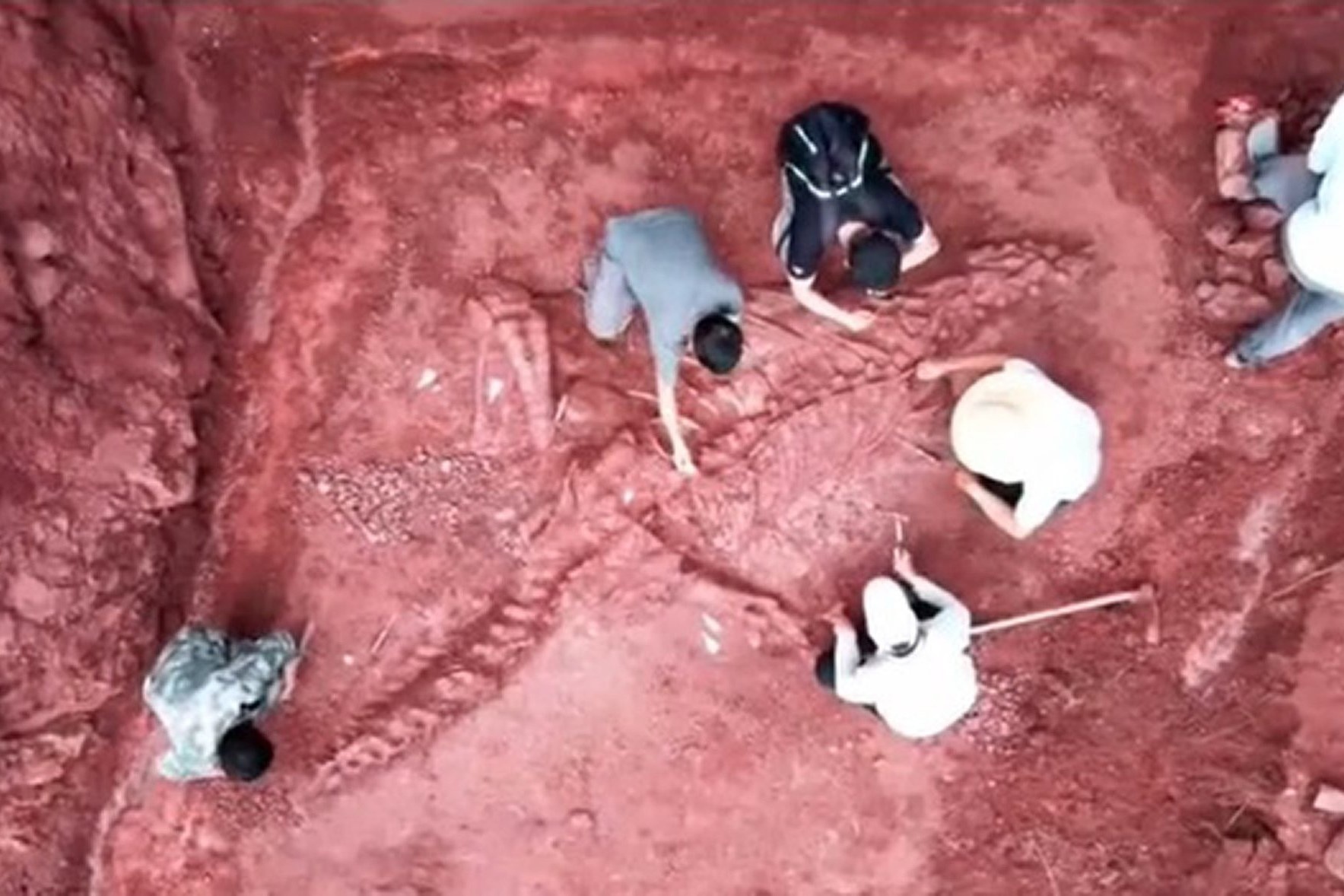 Bo xuong khung long 180 trieu nam gan nhu nguyen ven o Trung Quoc hinh anh