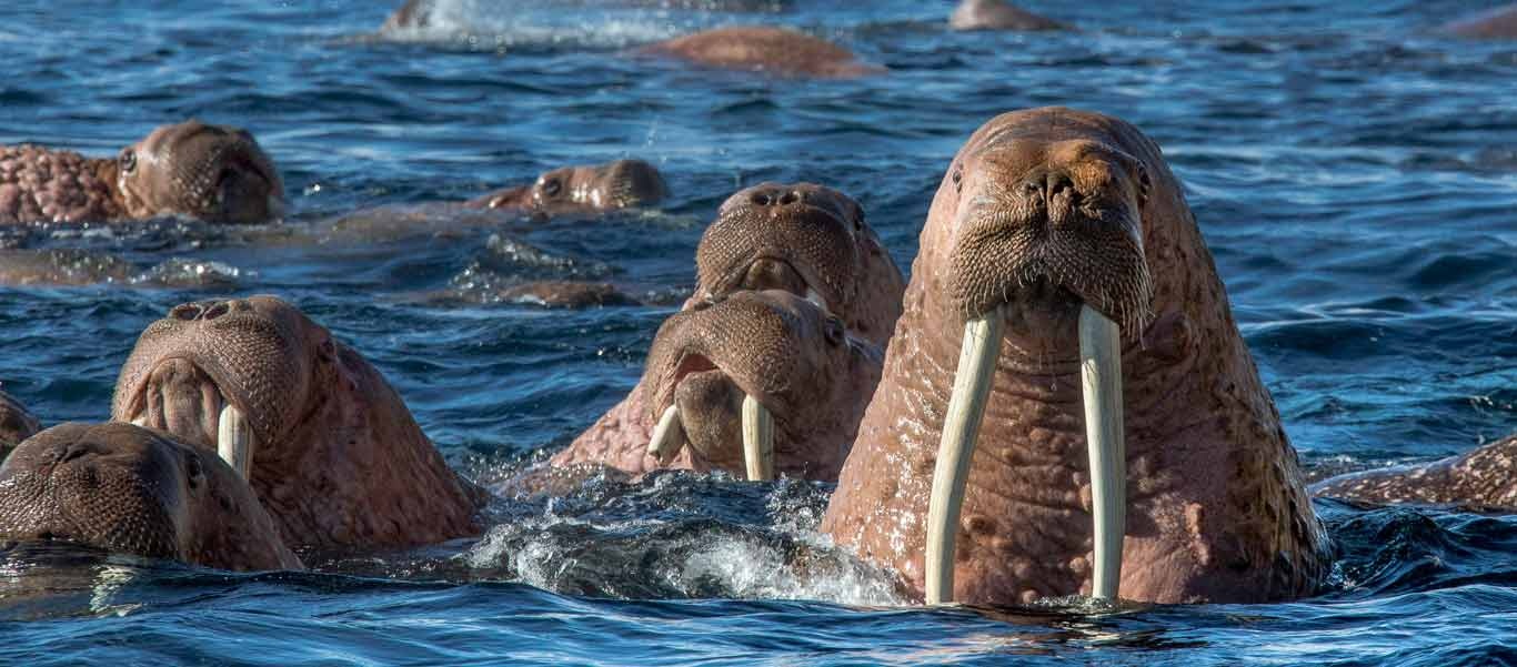 du lich ngam hai ma anh 7