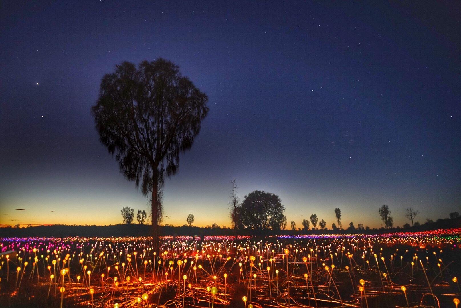 Cánh đồng ánh sáng đẹp huyền ảo tại California ảnh 3 Canh dong anh sang dep huyen ao tai California anh 3