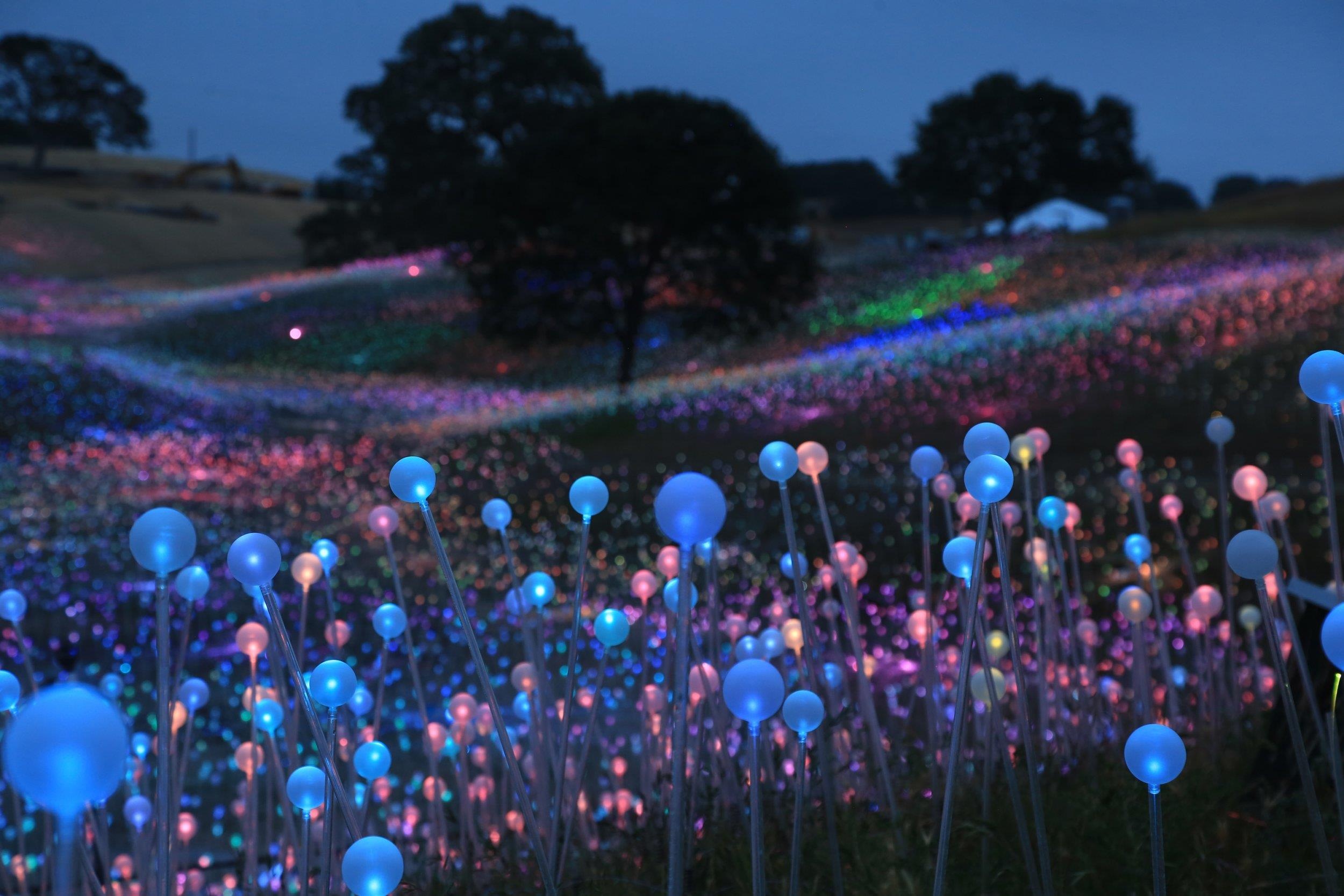 Cánh đồng ánh sáng đẹp huyền ảo tại California ảnh 7 Canh dong anh sang dep huyen ao tai California anh 7