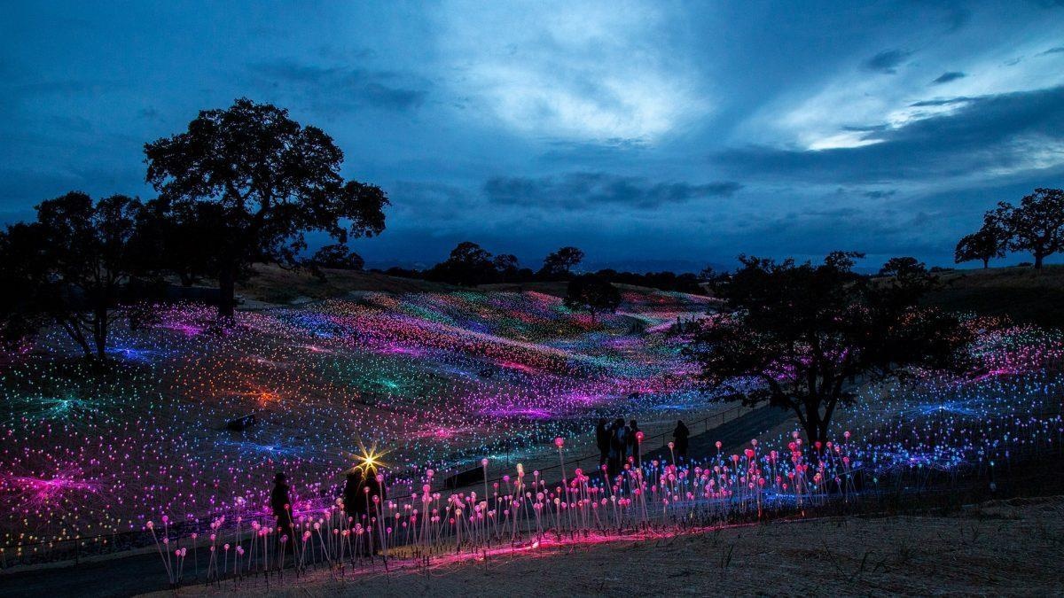 Cánh đồng ánh sáng đẹp huyền ảo tại California ảnh 8 Canh dong anh sang dep huyen ao tai California anh 8