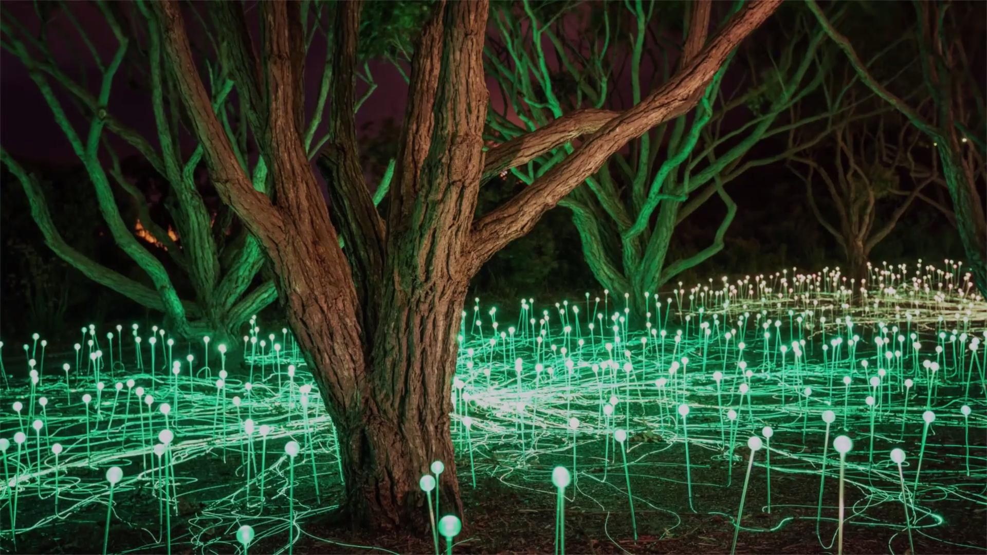 Cánh đồng ánh sáng đẹp huyền ảo tại California ảnh 9 Canh dong anh sang dep huyen ao tai California anh 9