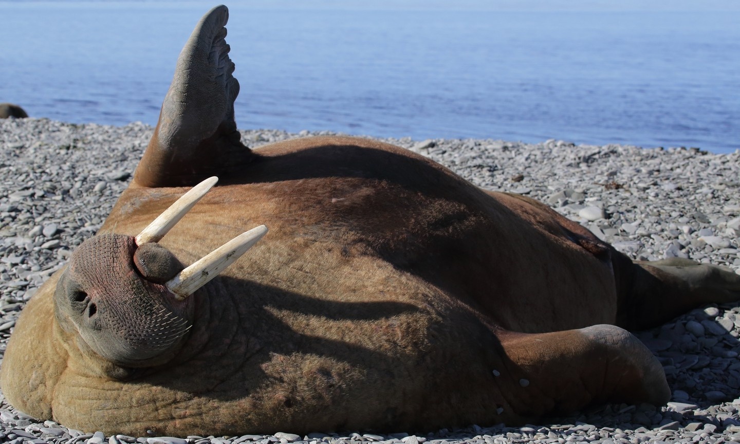 du lich ngam hai ma anh 6