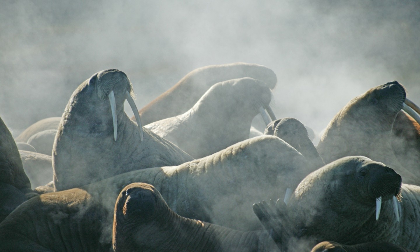 du lich ngam hai ma anh 3