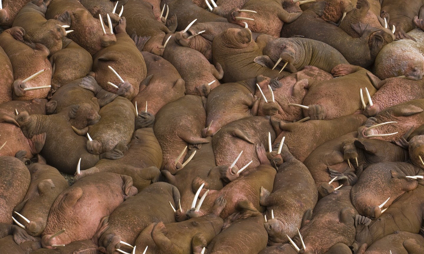 du lich ngam hai ma anh 4