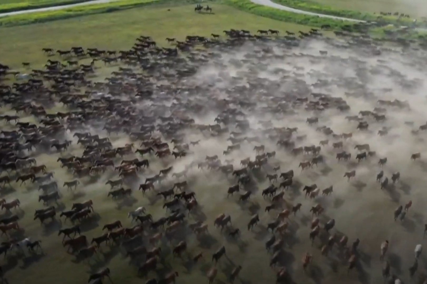 Hang nghin con ngua phi nuoc dai tren thao nguyen hinh anh