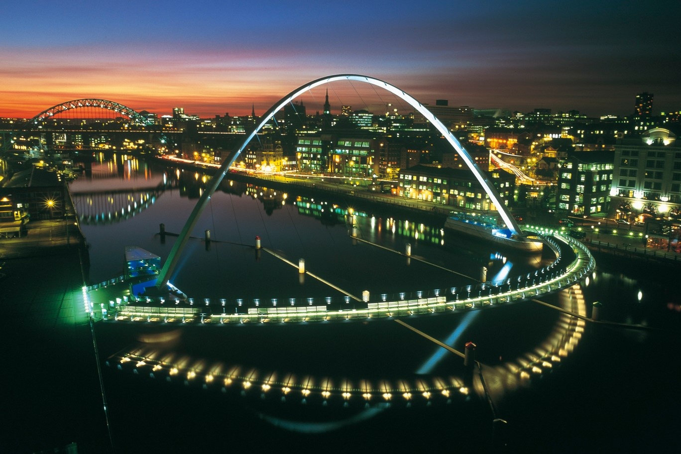 Nhung cay cau co the 'bien hinh' hinh anh