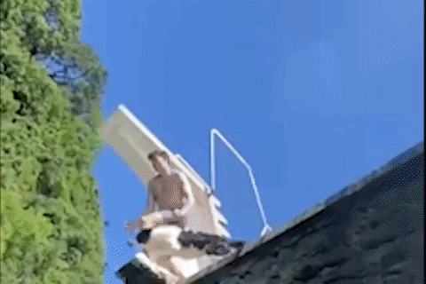 Chu cho gan da dam me nhay vach da hinh anh