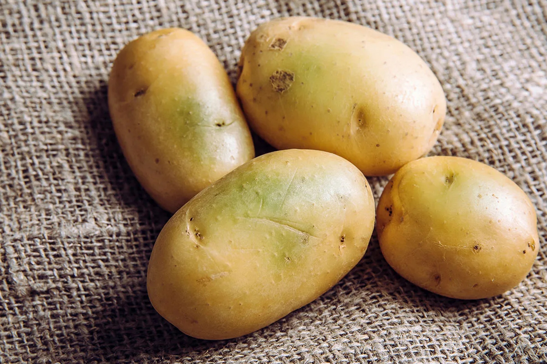 Ly do khoai tay chuyen mau xanh gay doc hinh anh