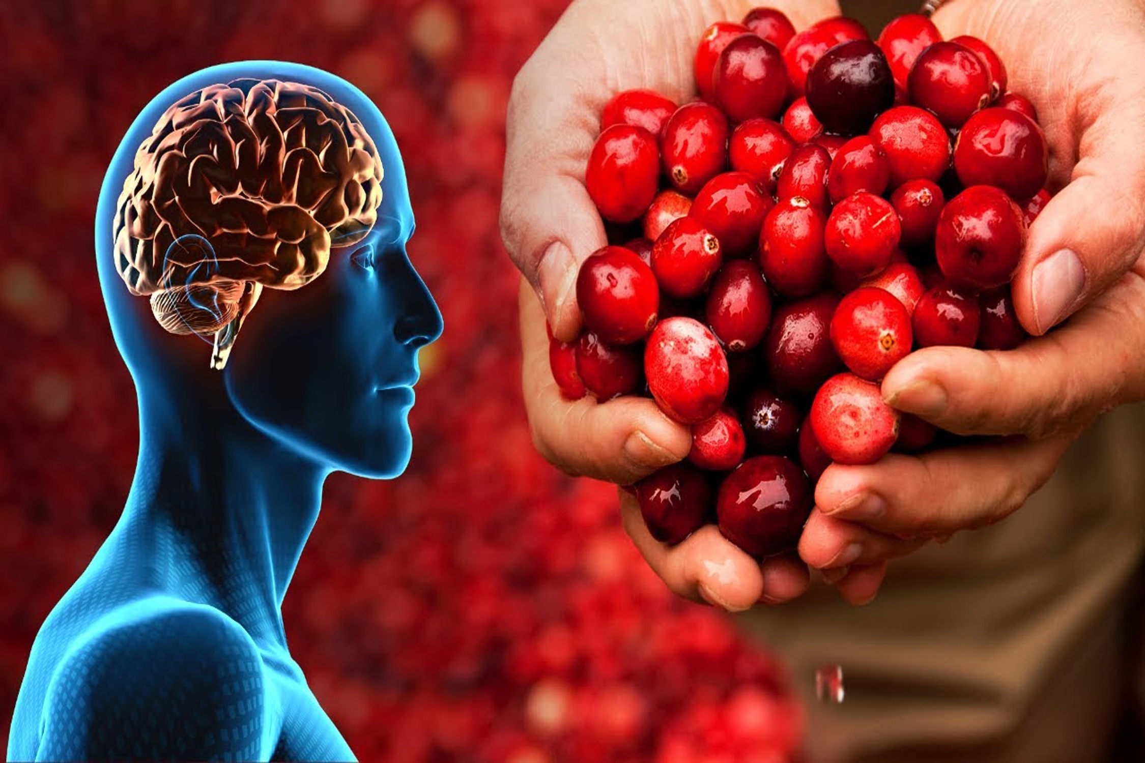 Thuc pham ngan ngua cac benh ve nao hinh anh