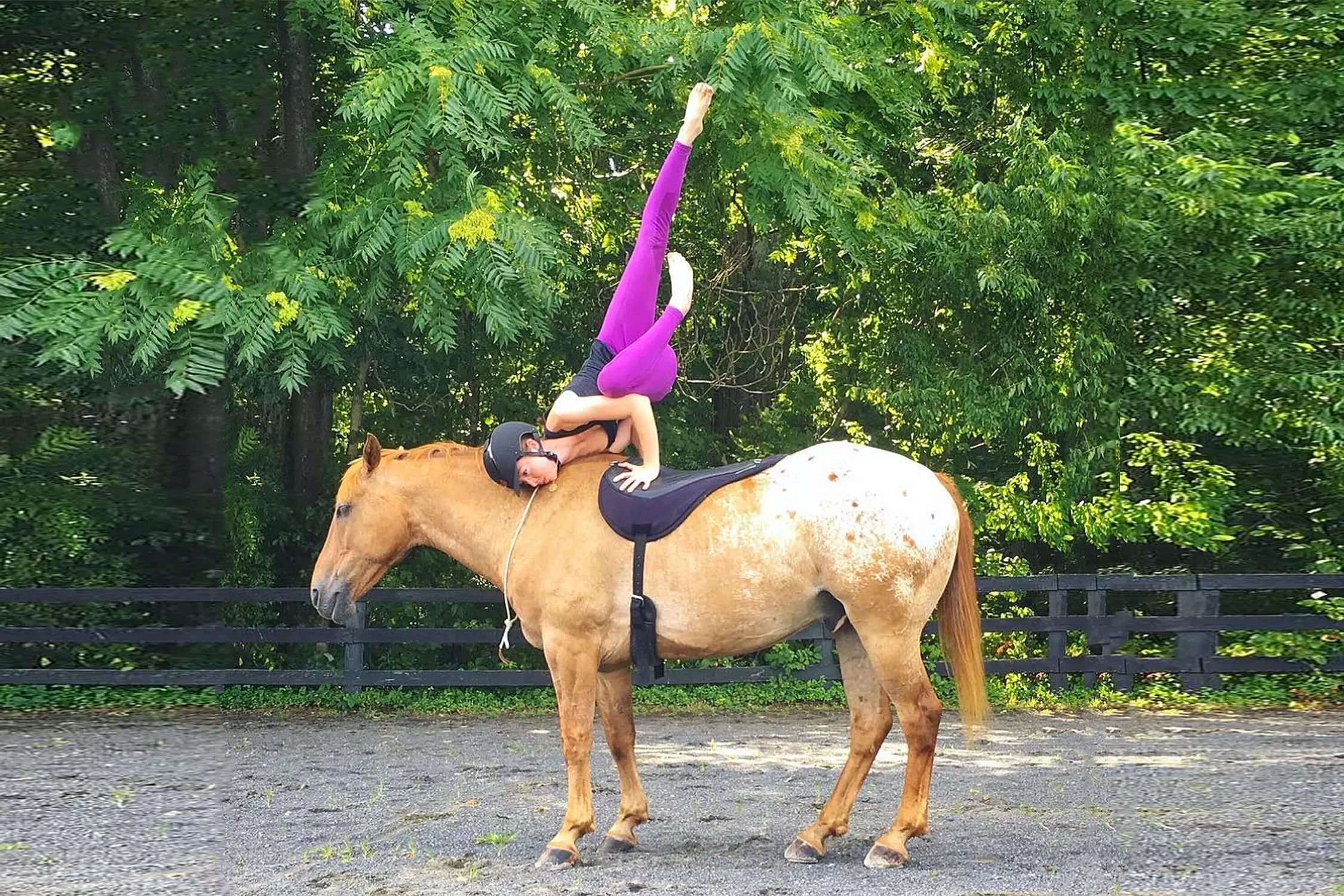 Nguoi phu nu tap cac tu the yoga tren lung ngua hinh anh