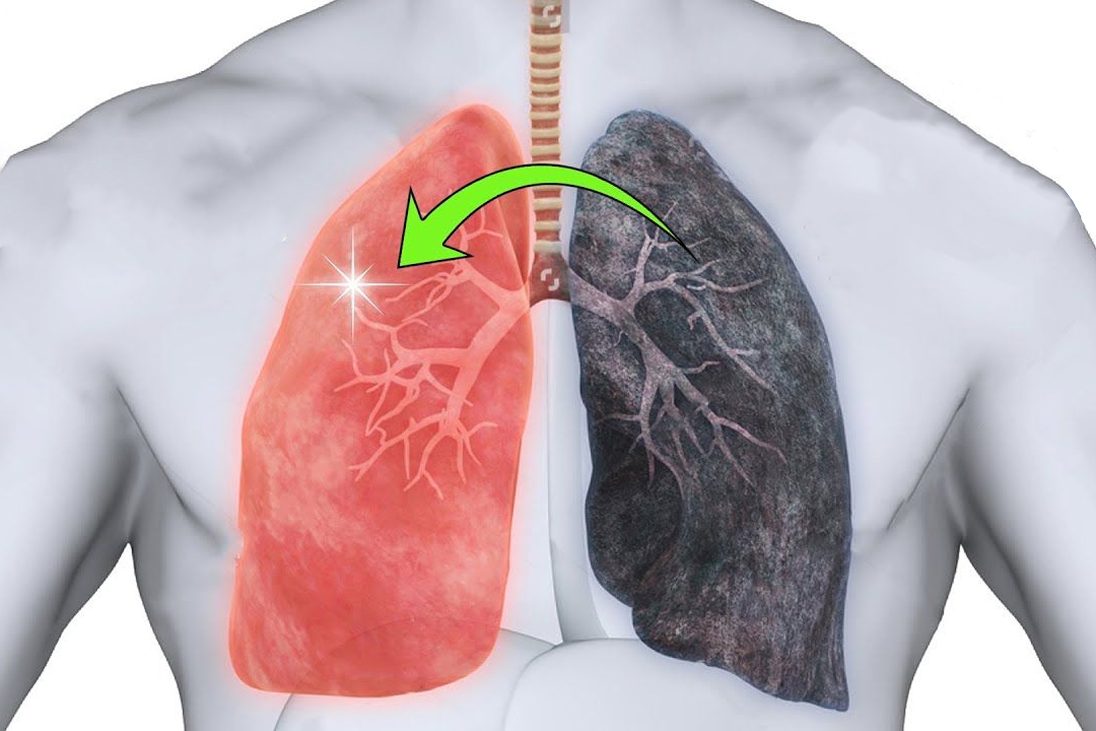 7 thuc pham giup lam sach va chua lanh phoi hinh anh