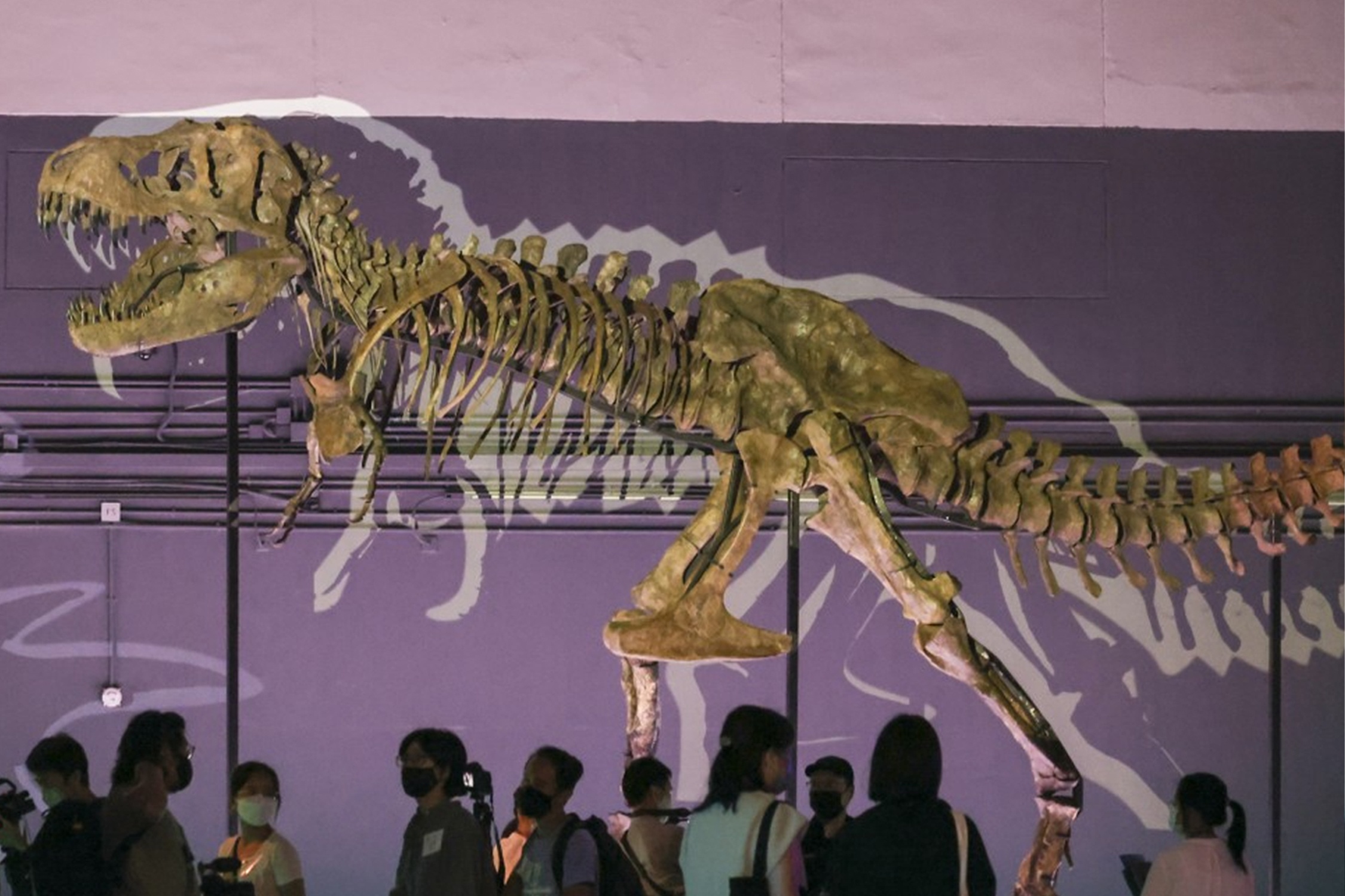 Trien lam khung long quy mo nhat the gioi o Hong Kong hinh anh