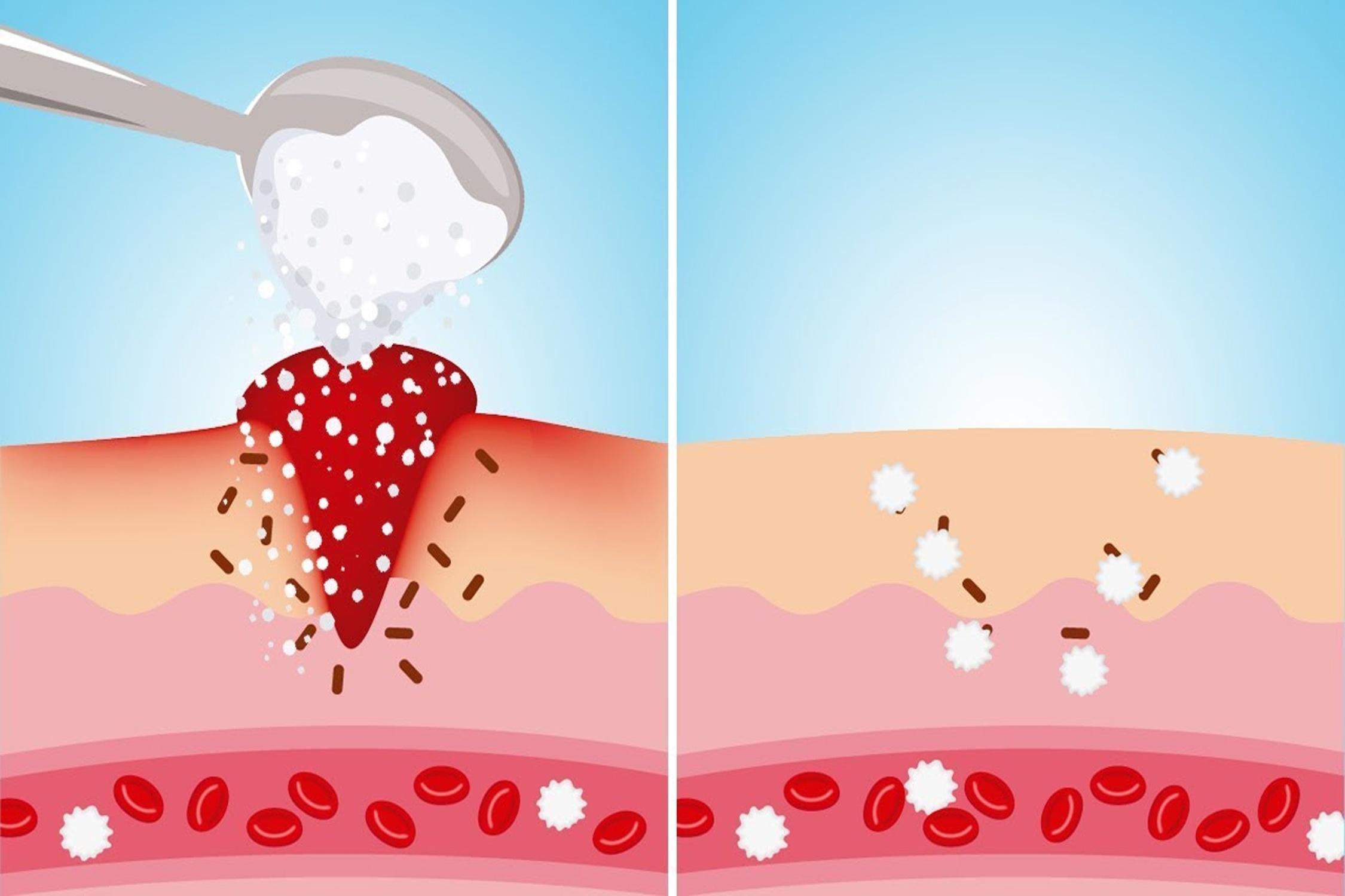 Duong co the giup chua lanh vet thuong hinh anh