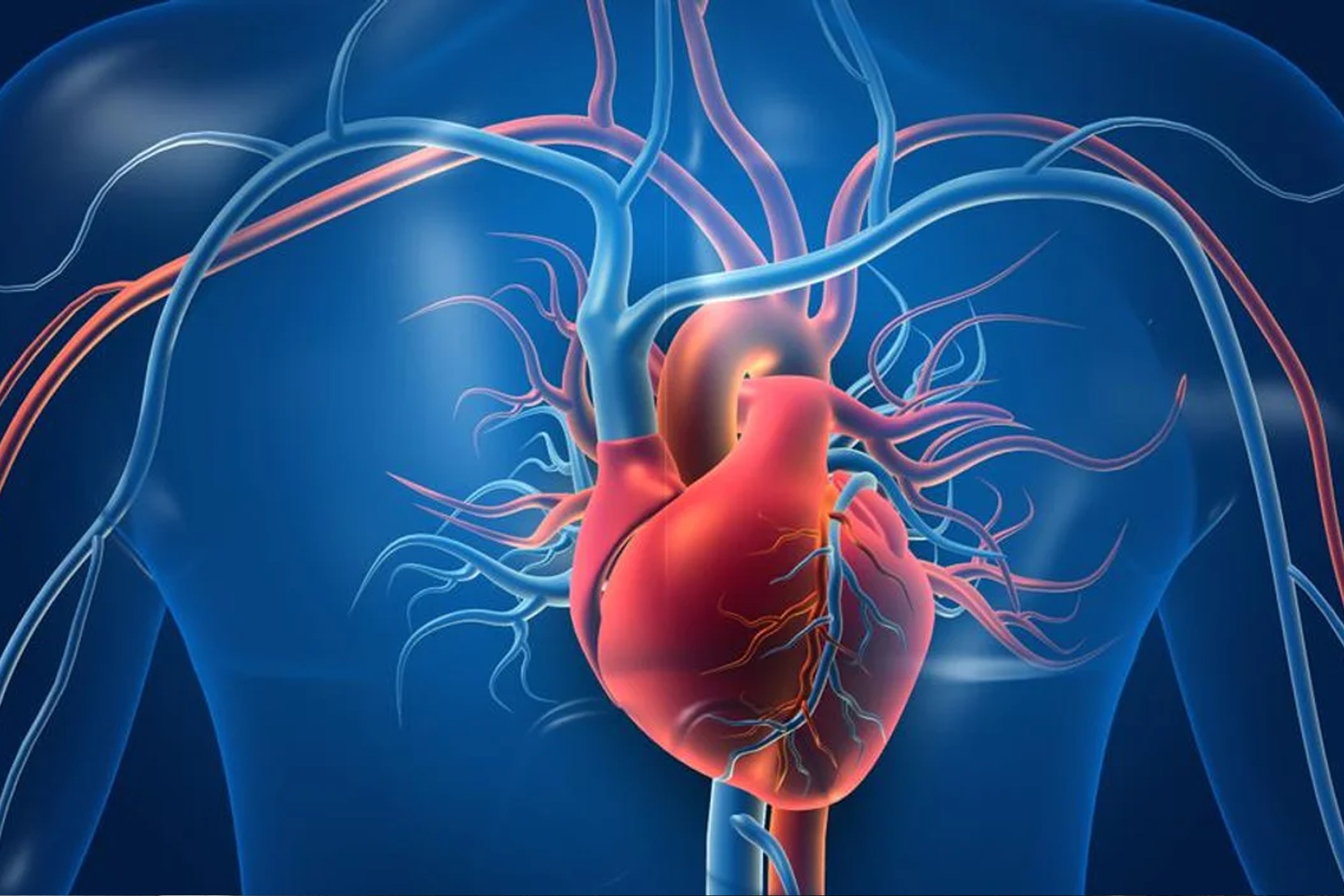 Thuc pham ngan ngua cac benh tim mach hinh anh