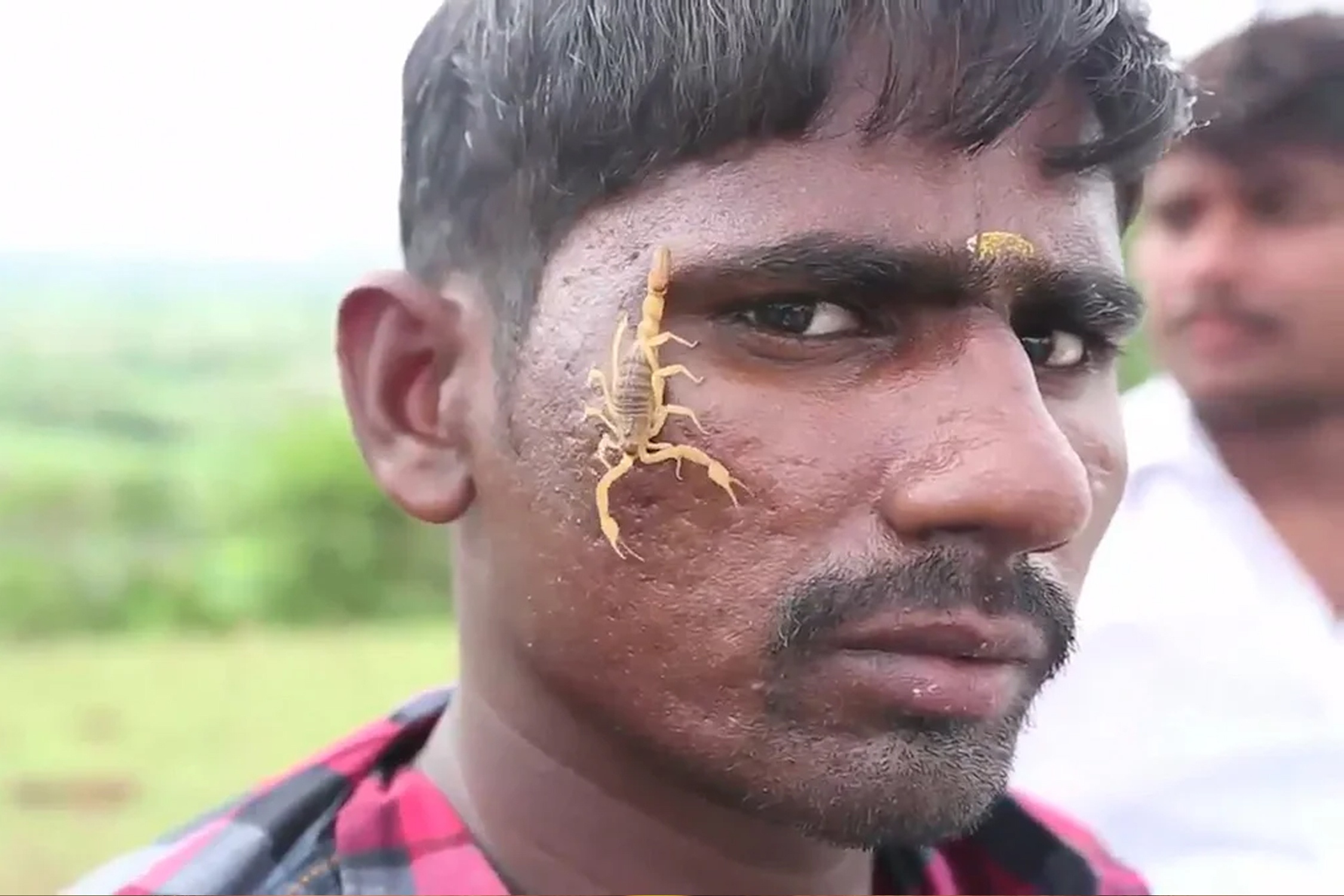 Choi voi bo cap doc de cau an lanh o An Do hinh anh