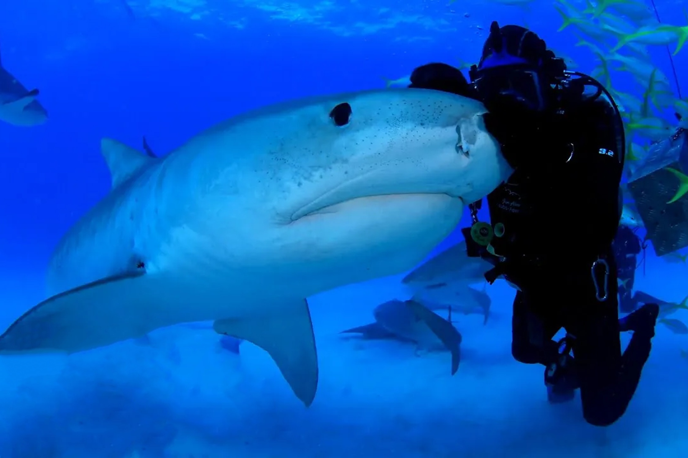 Lam ban voi ca map ho trong suot hon 22 nam hinh anh