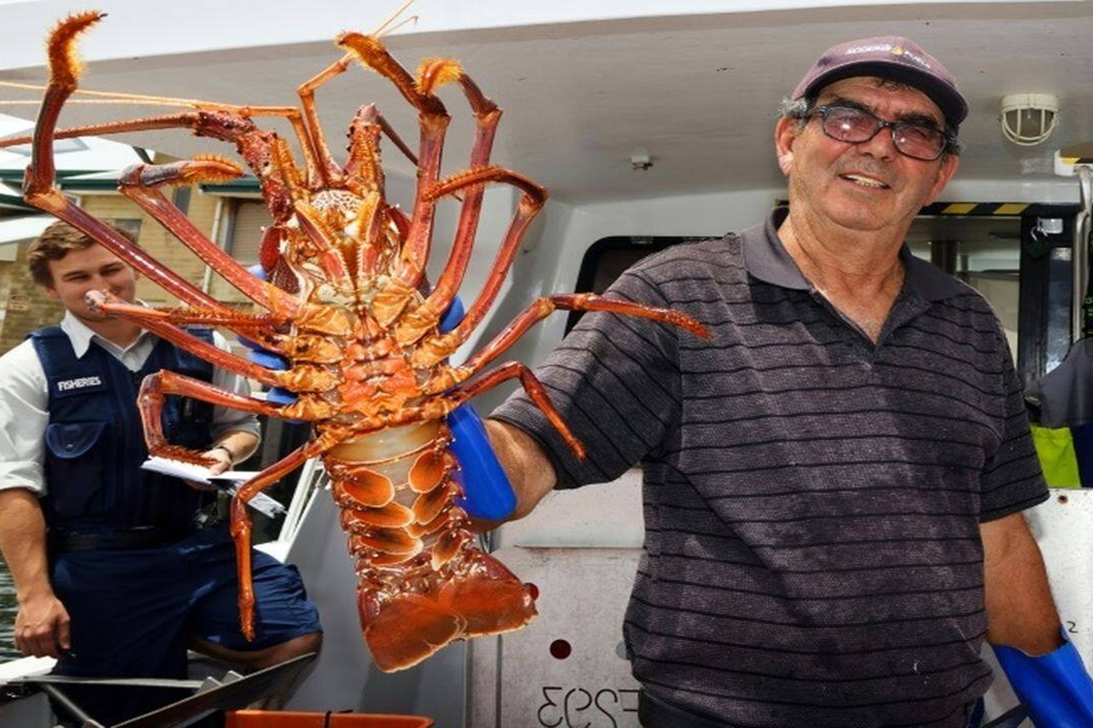 Dau bep so che tom hum Australia khong lo hinh anh