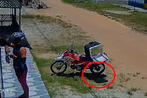 Chu cho trom tui do an cua shipper hinh anh