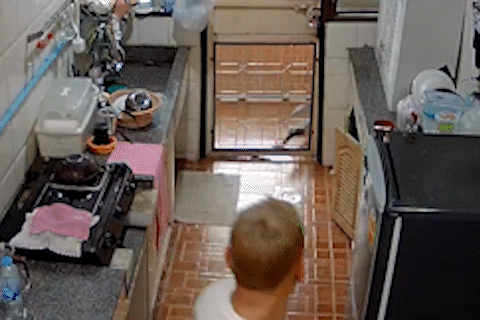 Hai con ky da pha cua nha dan o Thai Lan hinh anh