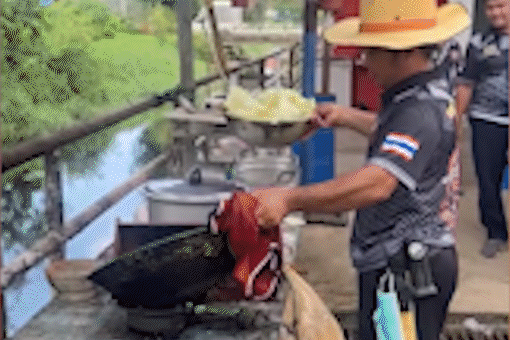 Dau bep ne ngon lua bung lon tu chao hinh anh