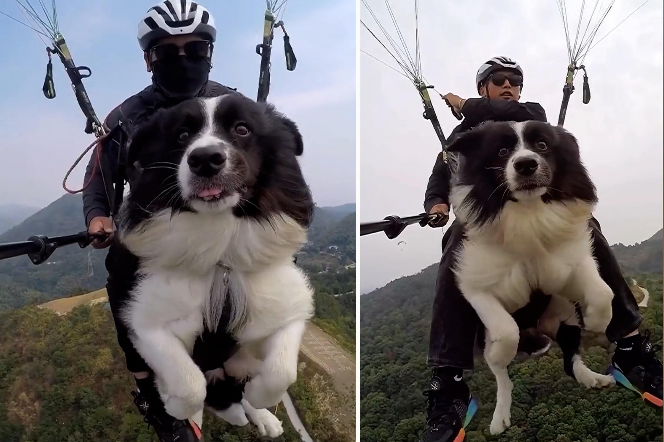 Mao hiem choi du luon cung cho cung hinh anh