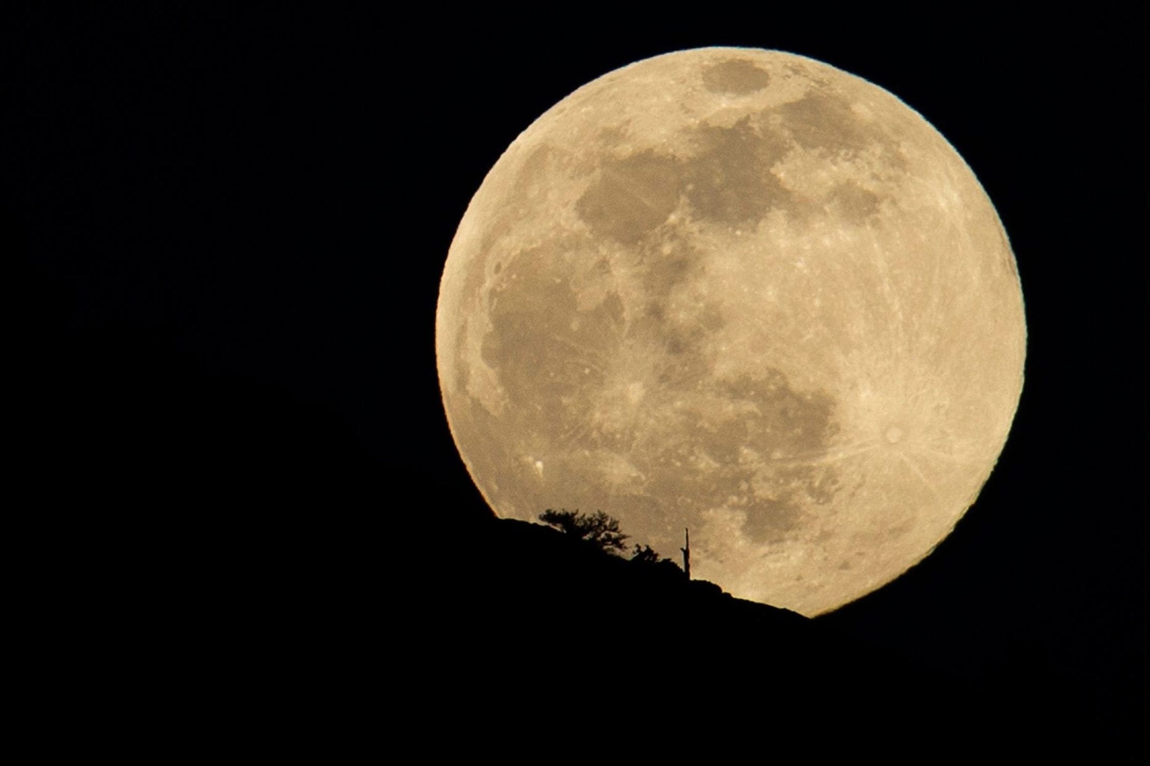 'Trang Tho san' tren bo bien o Anh hinh anh