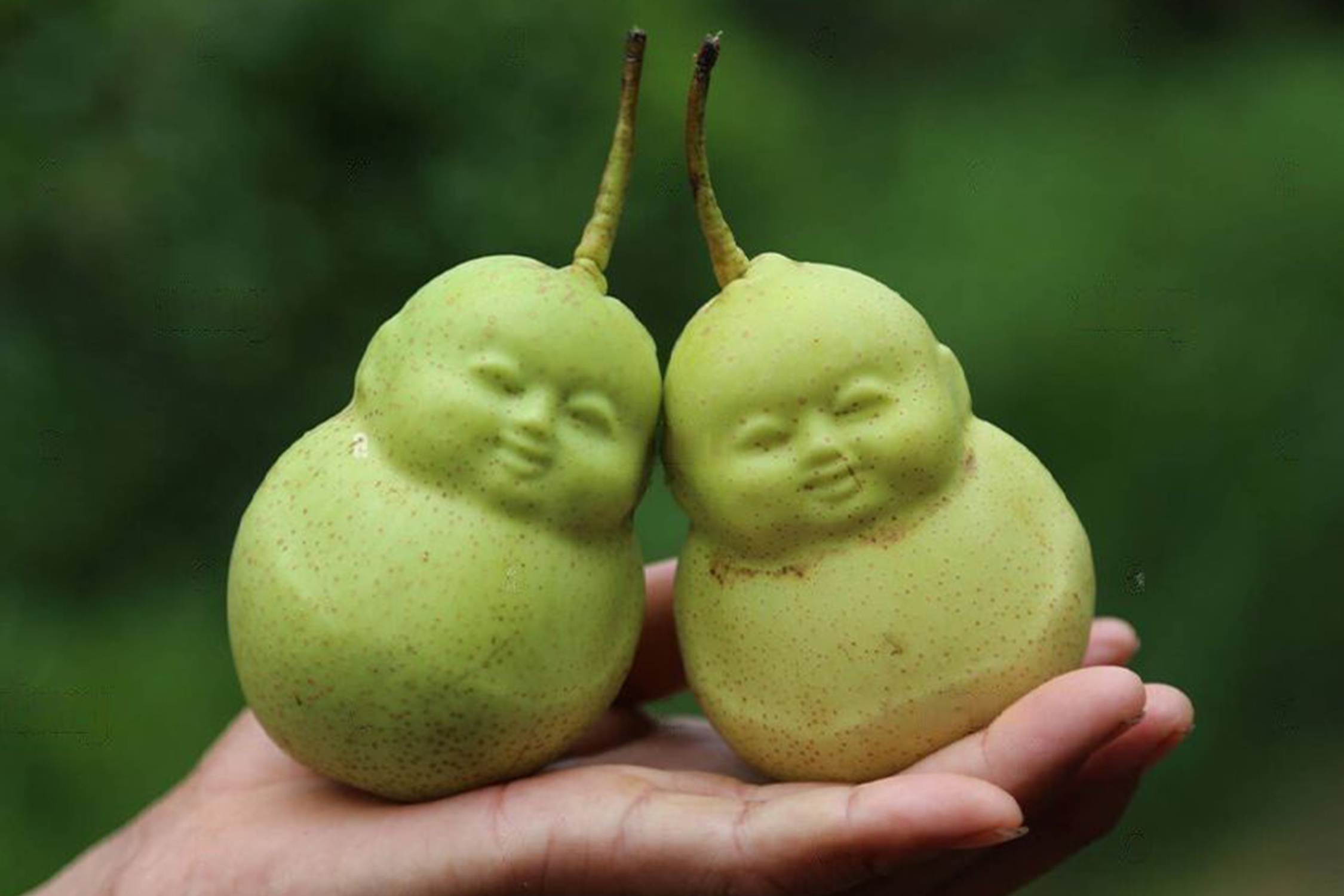 Qua le hinh nguoi o Trung Quoc hinh anh