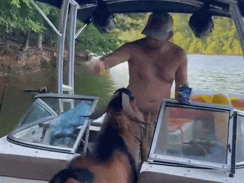 De hoang da leo len thuyen trom do an hinh anh