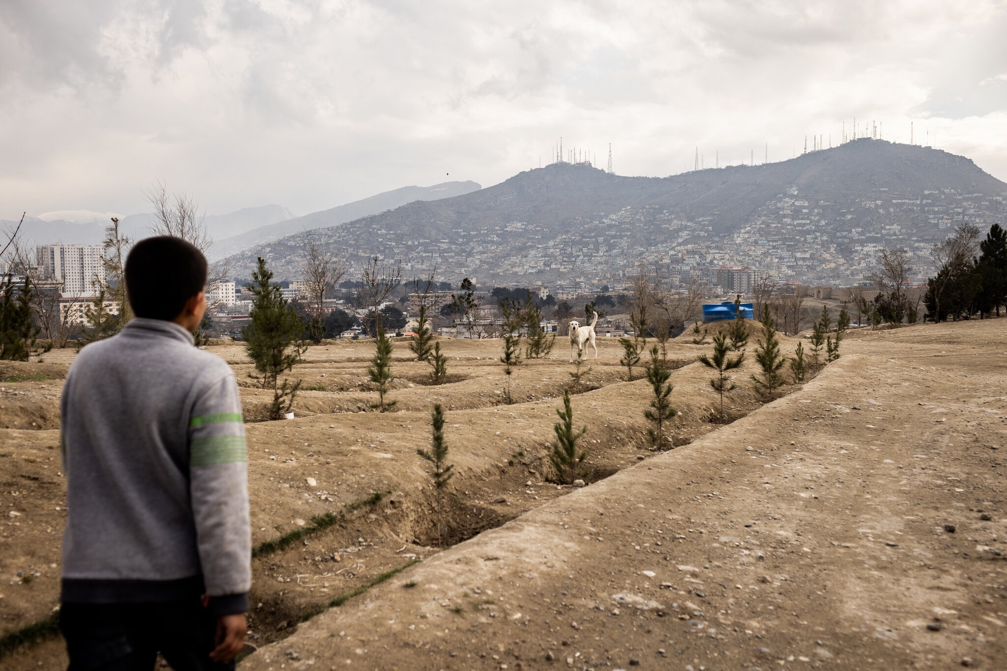 Cho hoang tan cong,  thu do Kabul,  toi pham gia tang anh 5