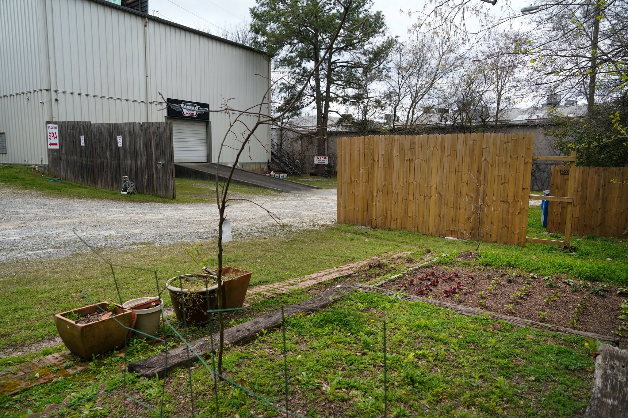 nguoi goc A o My anh 8