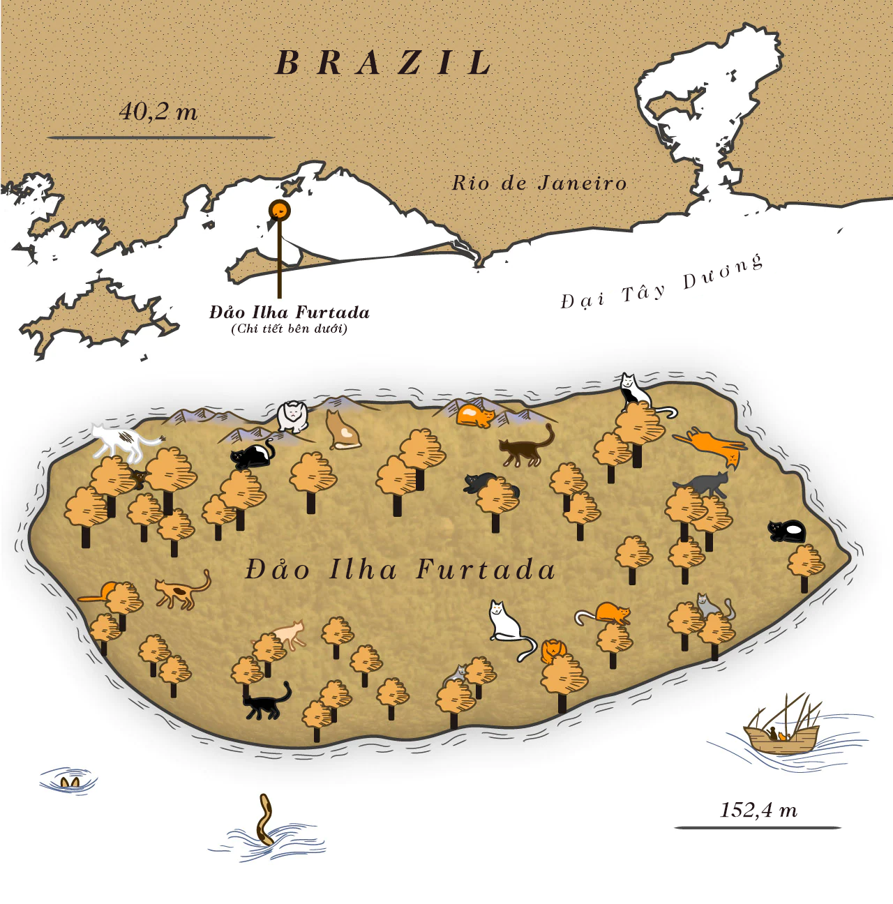 bo roi meo,  meo hoang,  Mangaratiba,  Ilha Furtada anh 2