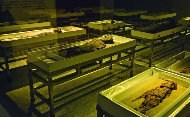 xac uop,  van hoa,  khao co anh 1