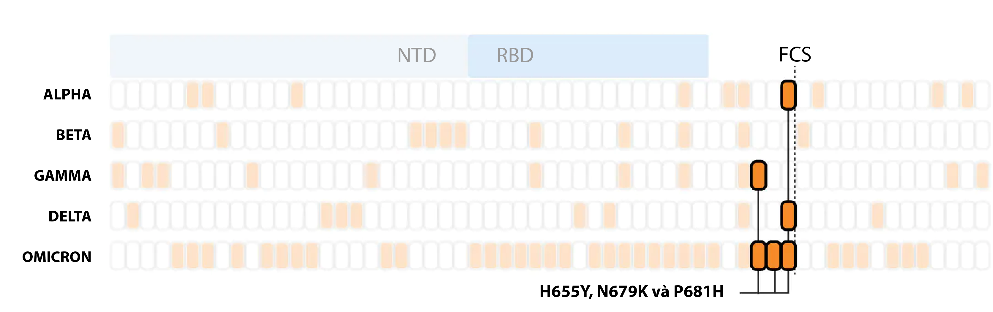 omicron,  bien chung moi,  covid-19,  My anh 9