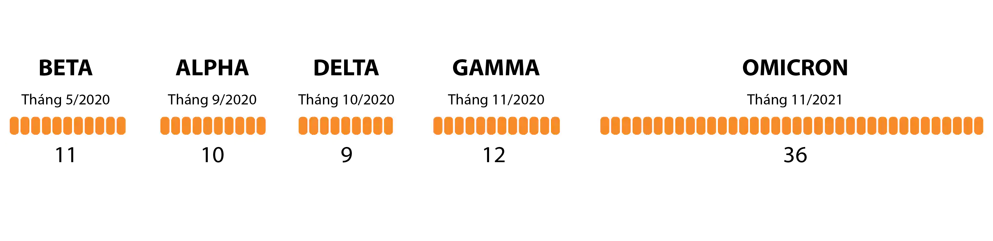 omicron,  bien chung moi,  covid-19,  My anh 2