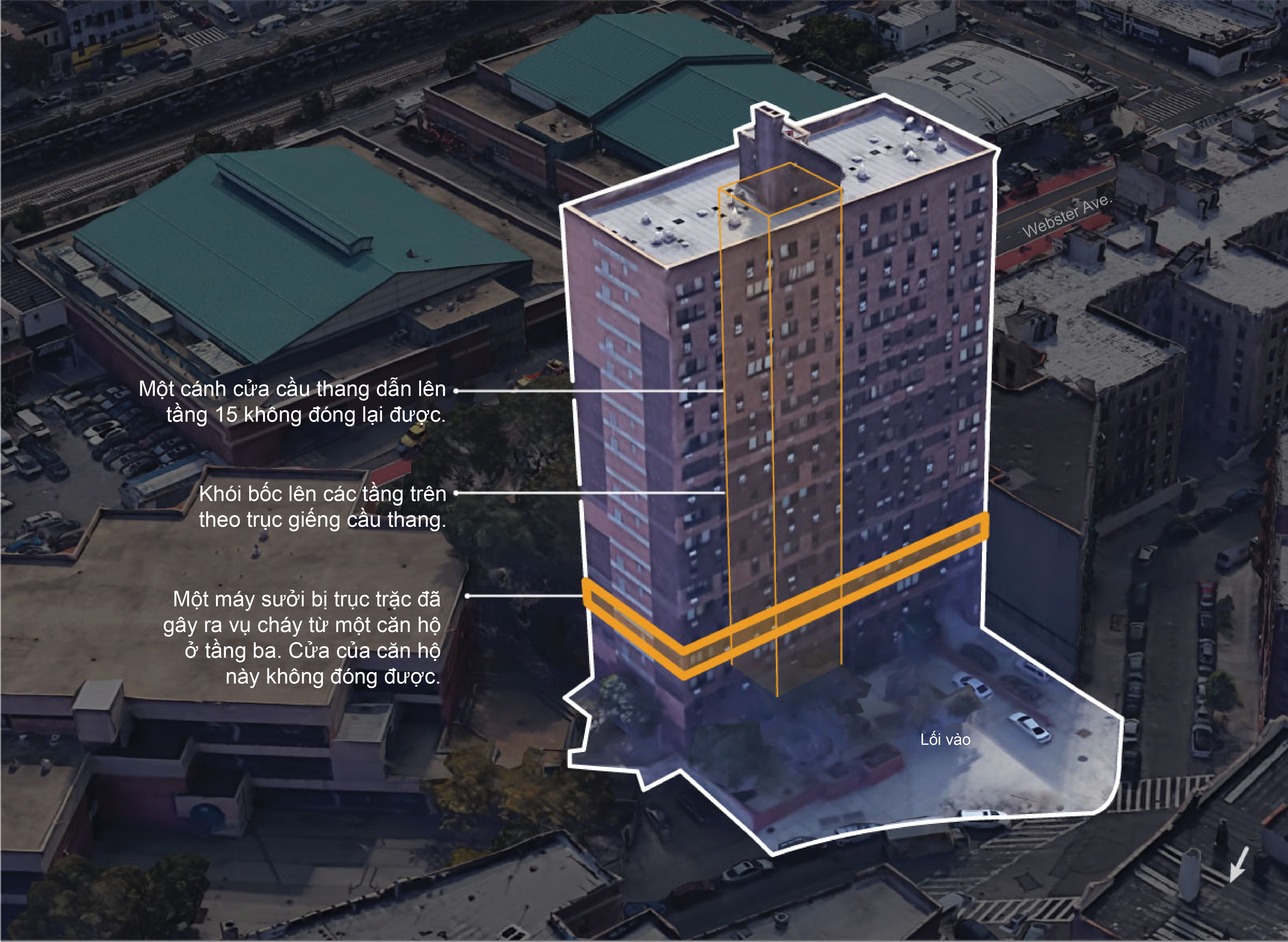 New York,  Bronx,  hoa hoan anh 3