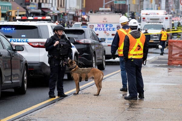 Xa sung,  new york,  xa sung anh 1