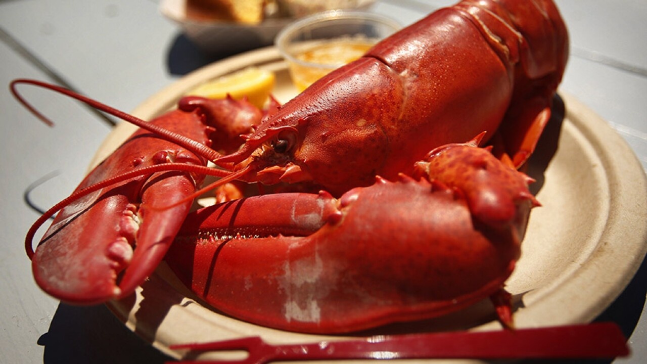 Vi sao cac nha hang My loai tom hum khoi thuc don hinh anh